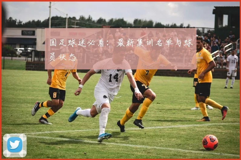 国足球迷必看:最新集训名单与球员状态