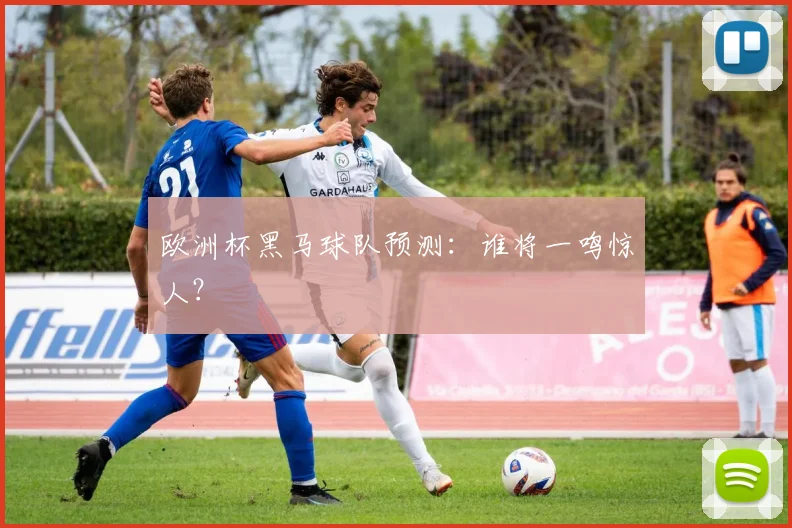 欧洲杯黑马球队预测：谁将一鸣惊人？