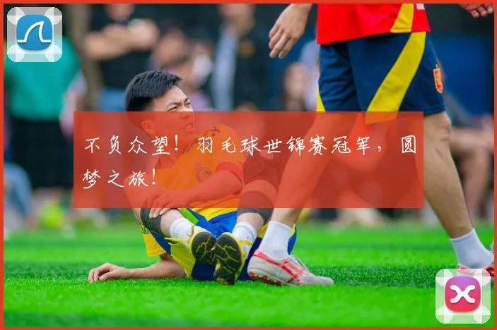 不负众望！羽毛球世锦赛冠军，圆梦之旅！