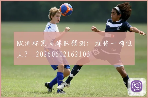 欧洲杯黑马球队预测:谁将一鸣惊人?_20260602162103