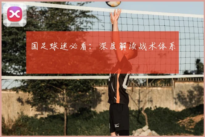 国足球迷必看:深度解读战术体系